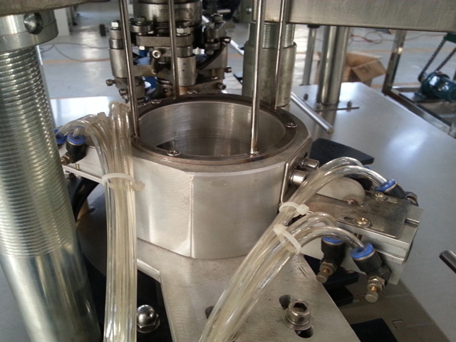 tampando cabeça.jpg