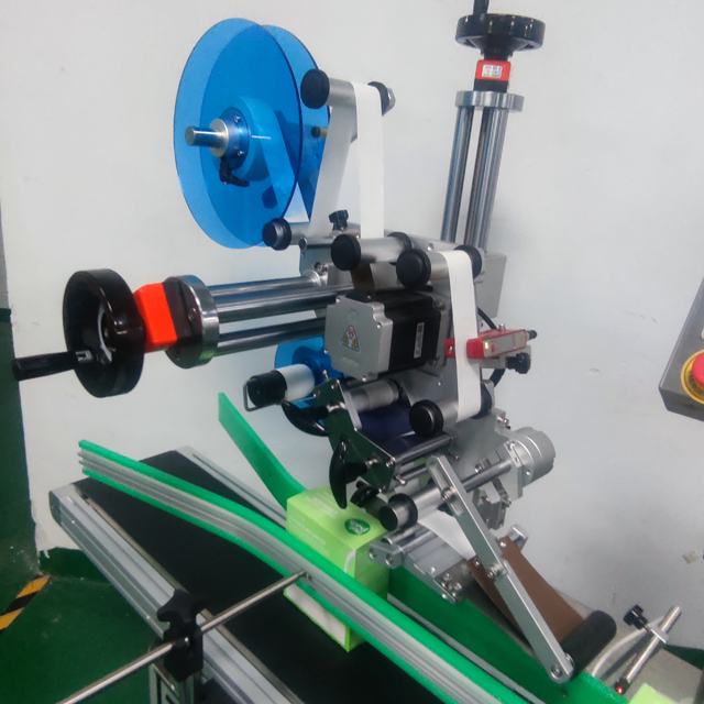 rotulando fotos de cabeça.jpg